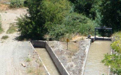 Cobros de patentes por no uso de agua superan los 1.500 millones de pesos en la Región