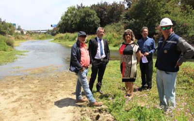 Culminan labores de limpieza y despeje en estero de Viña del Mar