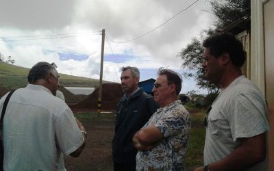 MOP avanza en proyectos del Plan Rapa Nui