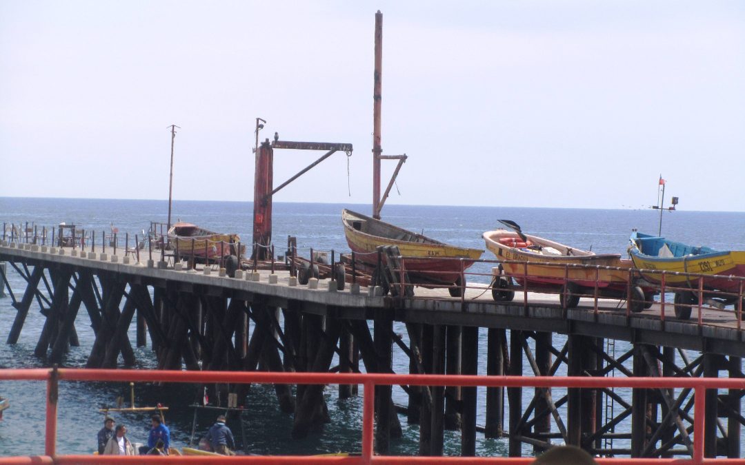 MOP desarrollará obras de conservación  para Caleta Portales